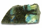 Single Side Polished Labradorite Slab - Madagascar #278225-1